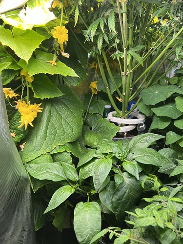 Growreport Bild 14