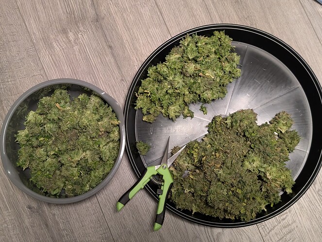 Growreport Bild 13