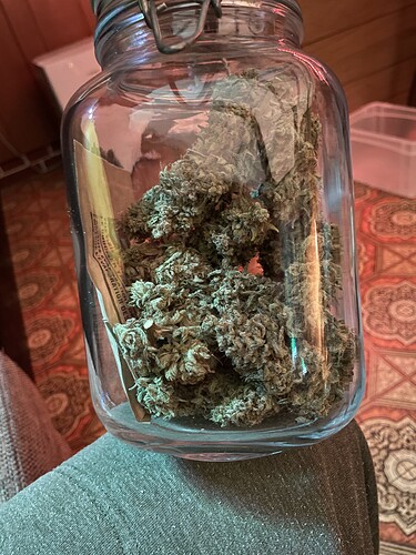 Ein Glas voller getrockneter Cannabis-Buds, das auf einer Person liegt.