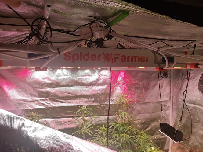 Growreport Bild 10