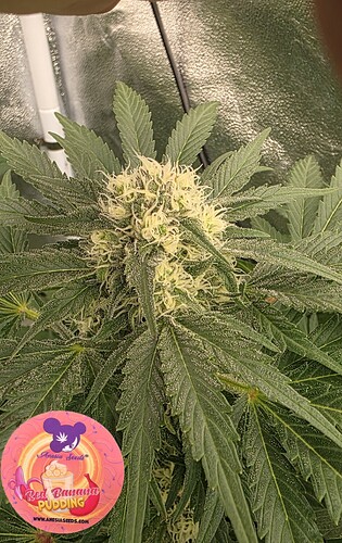 Growreport Bild 15