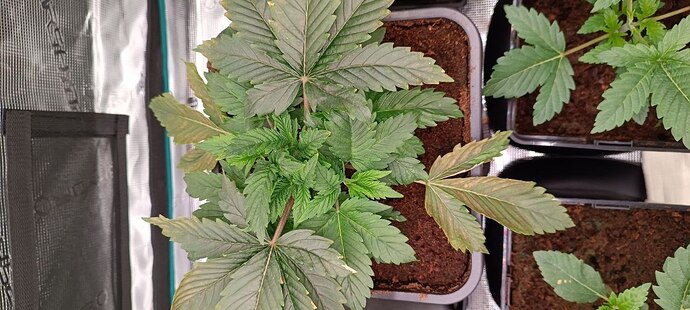 photo_2026-04-17_22-23-17