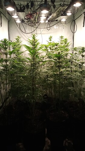 Growreport Bild 18