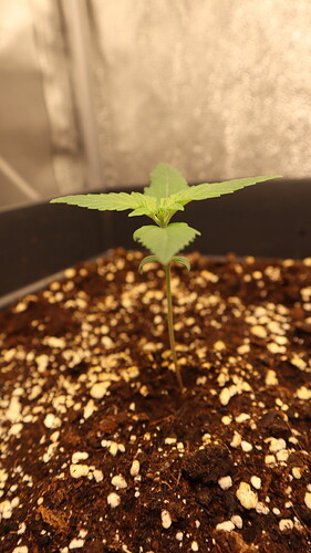 Growreport Bild 2