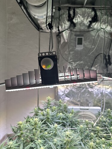 Growreport Bild 18