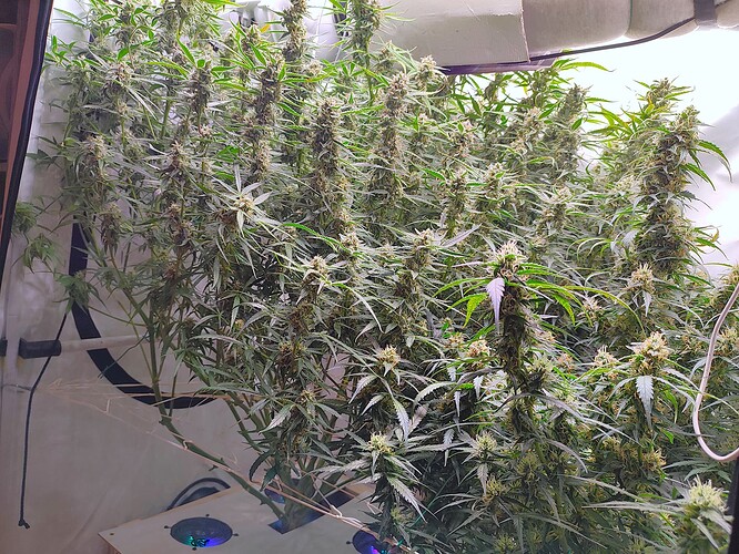 Growreport Bild 14