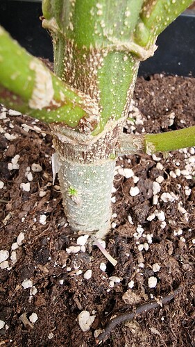 Growreport Bild 9