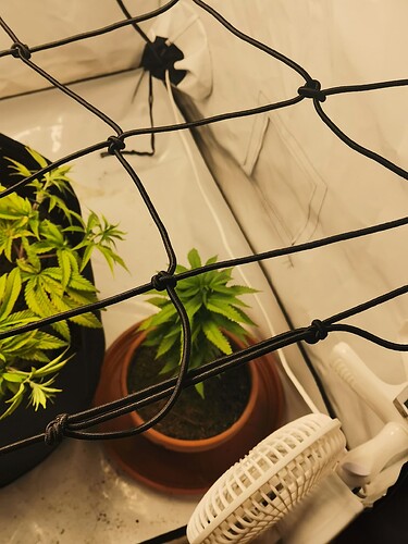 Growreport Bild 5