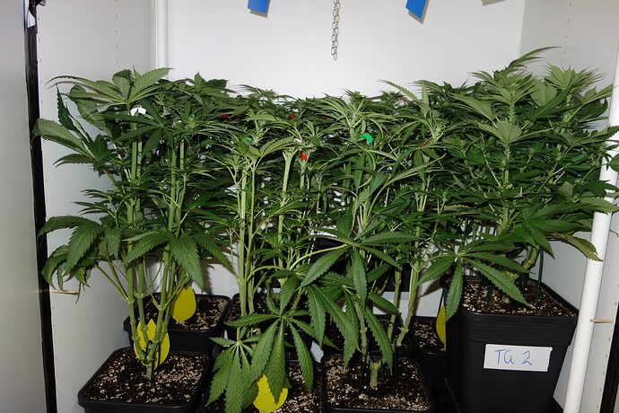 Growreport Bild 8