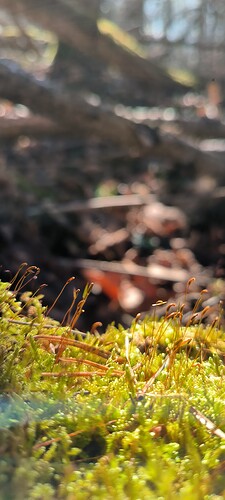 Growreport Bild 8