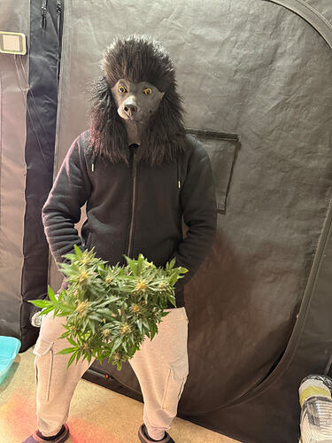 Growreport Bild 32