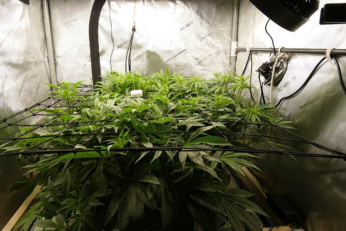 Übersicht_rechts_VT48_BT1