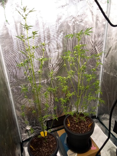 Growreport Bild 1