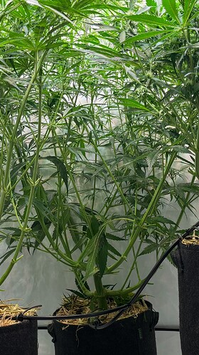 Growreport Bild 19
