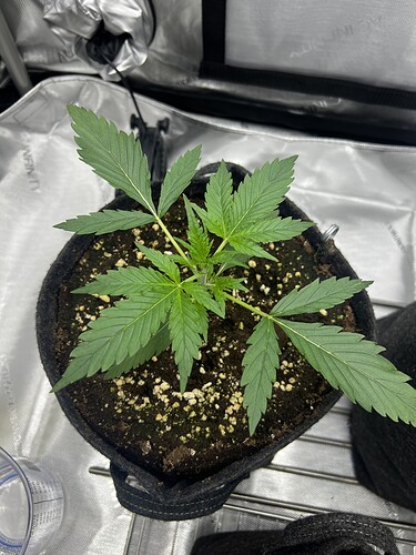 Growreport Bild 10