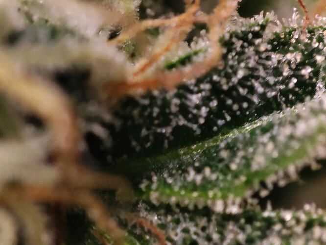 Growreport Bild 18