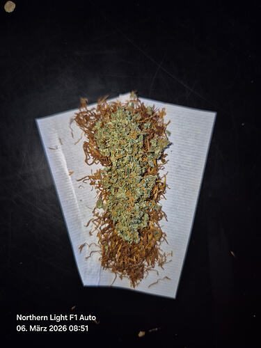 Ein vorbereitetes Joint-Paper mit einer Mischung aus zerkleinertem Cannabis und Tabak auf einem schwarzen Untergrund.