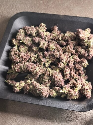 Growreport Bild 2