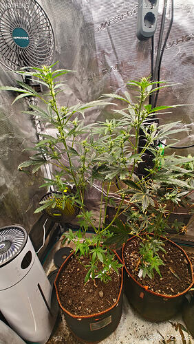 Growreport Bild 8