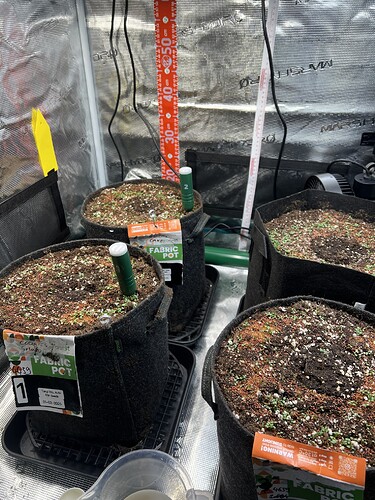 Growreport Bild 5
