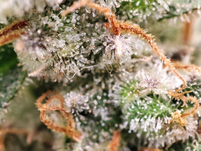 Growreport Bild 23