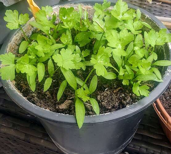 Growreport Bild 13