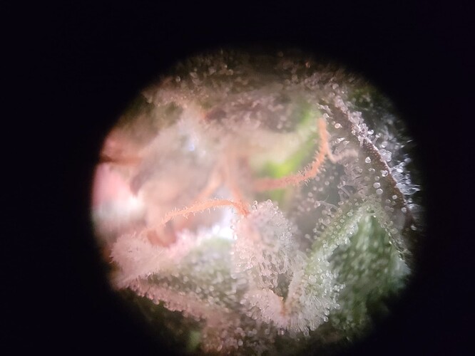 Growreport Bild 10