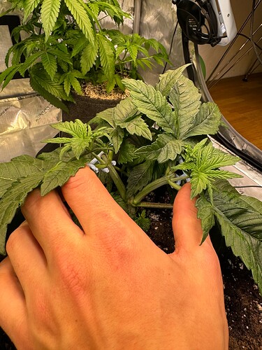 Growreport Bild 14