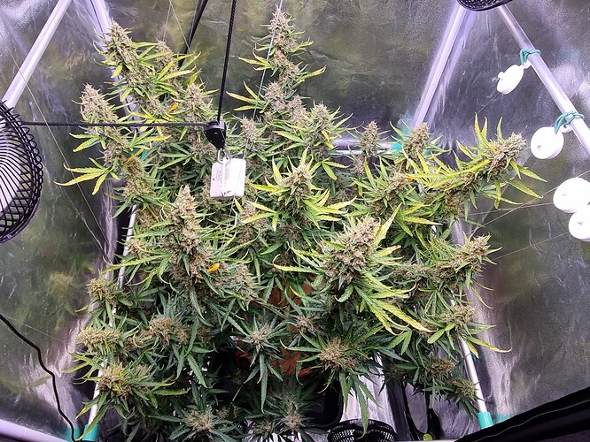 Growreport Bild 16