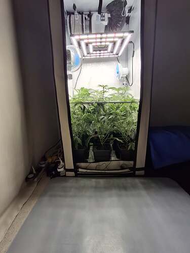 Growreport Bild 15