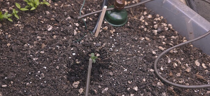 Growreport Bild 2