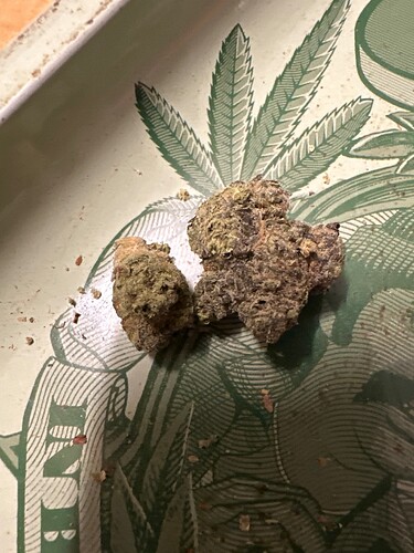 Growreport Bild 27