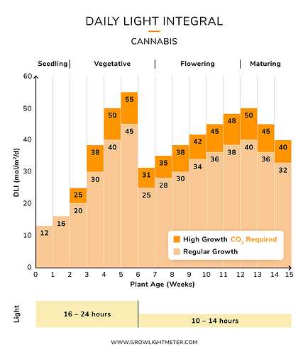 cannabis-dli-cycle