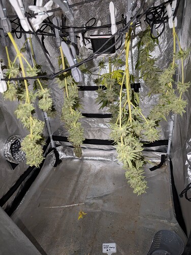 Growreport Bild 15