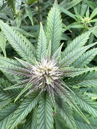 Growreport Bild 22