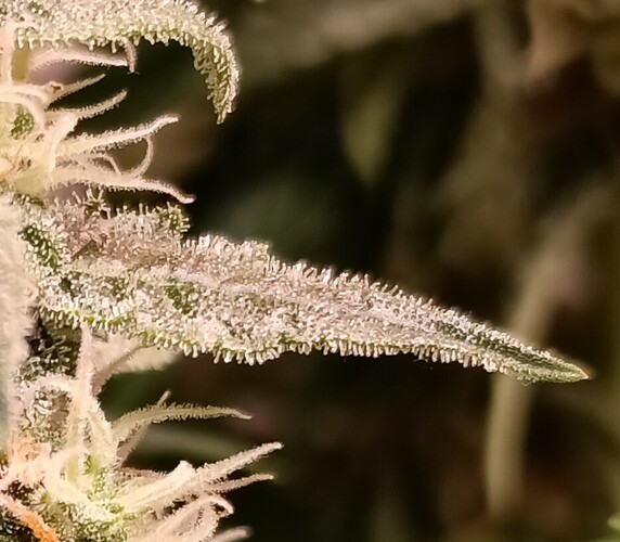 Growreport Bild 12