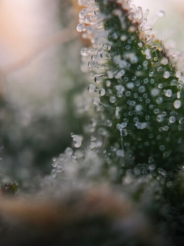 MVIMG_20251116_204757