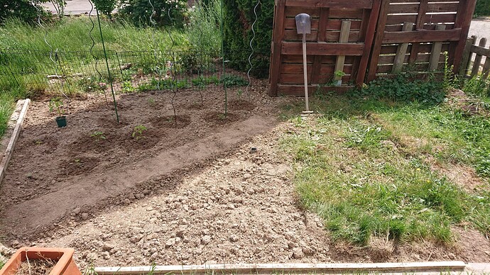 Growreport Bild 12