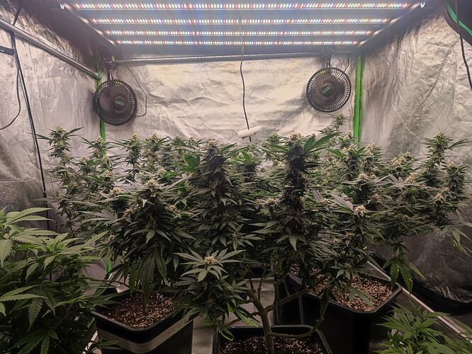 Growreport Bild 26