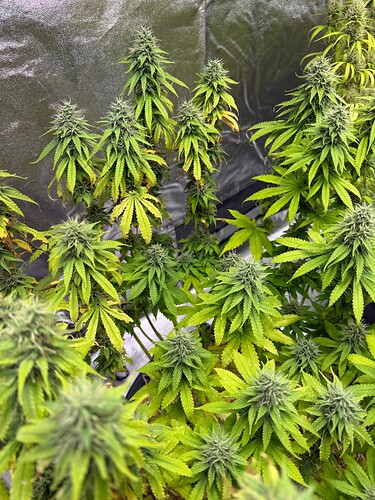 Growreport Bild 15