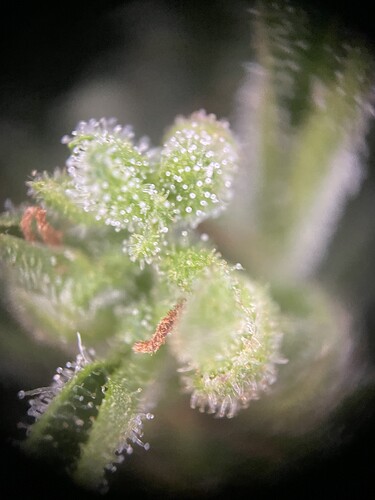 Growreport Bild 22