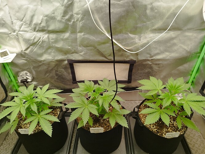 Growreport Bild 12