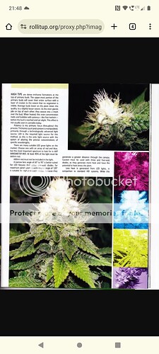 Screenshot_20240610-214836