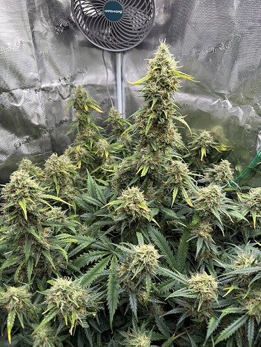 Growreport Bild 10