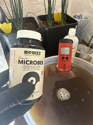 Growreport Bild 20