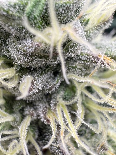 Growreport Bild 23