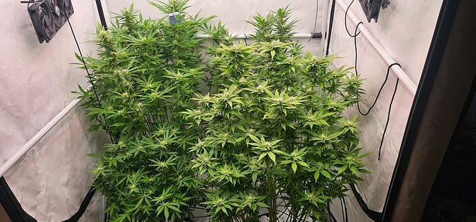 Growreport Bild 4