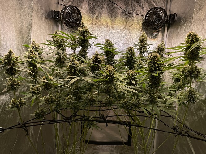 Growreport Bild 11