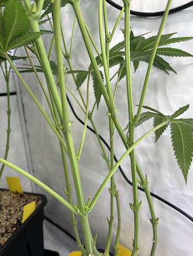 Growreport Bild 7