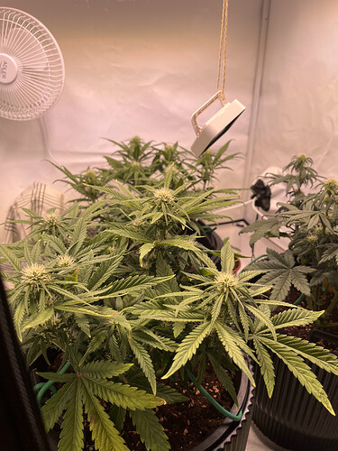 Growreport Bild 13